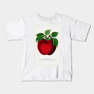 McIntosh Red Apple Lithograph (1900) Kids T-Shirt